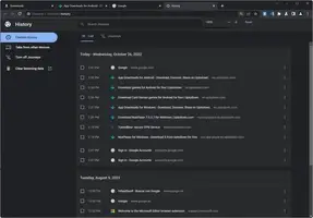Chrome Dev Free Download For Window - image 1