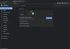 Chrome Dev Free Download For Window - image 2