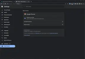 Chrome Dev Free Download For Window - image 3