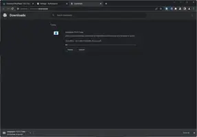 Chrome Dev Free Download For Window - image 4